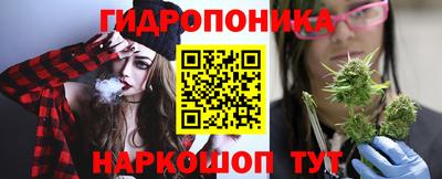 спайс Шелехов