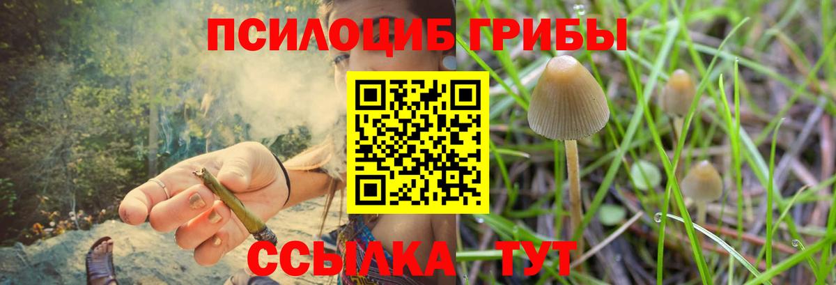 Псилоцибиновые грибы Magic Shrooms Заволжье