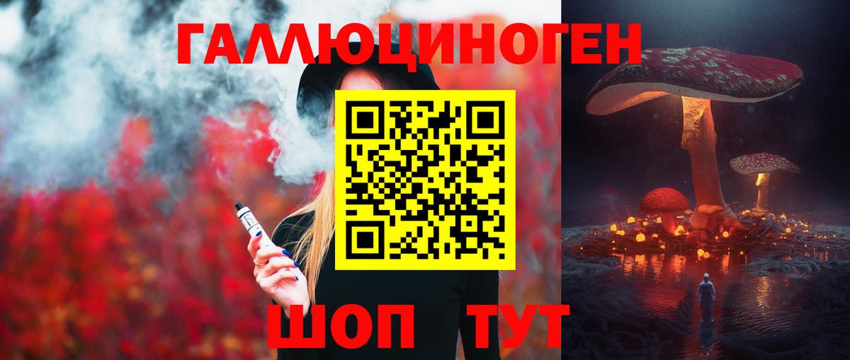 Псилоцибиновые грибы Psilocybe  Вход с VPN  Заволжье 